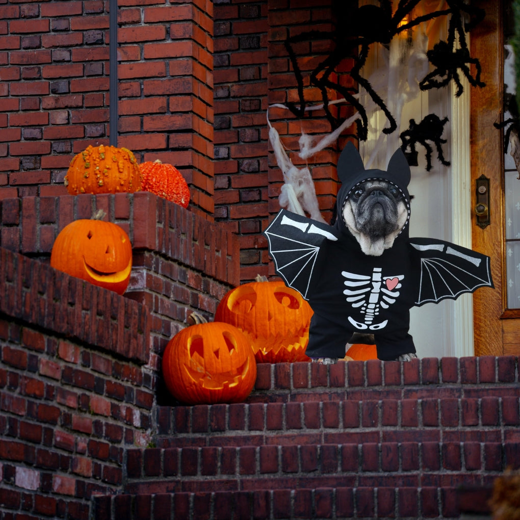 Costume Favorite Pet - Bat Suit