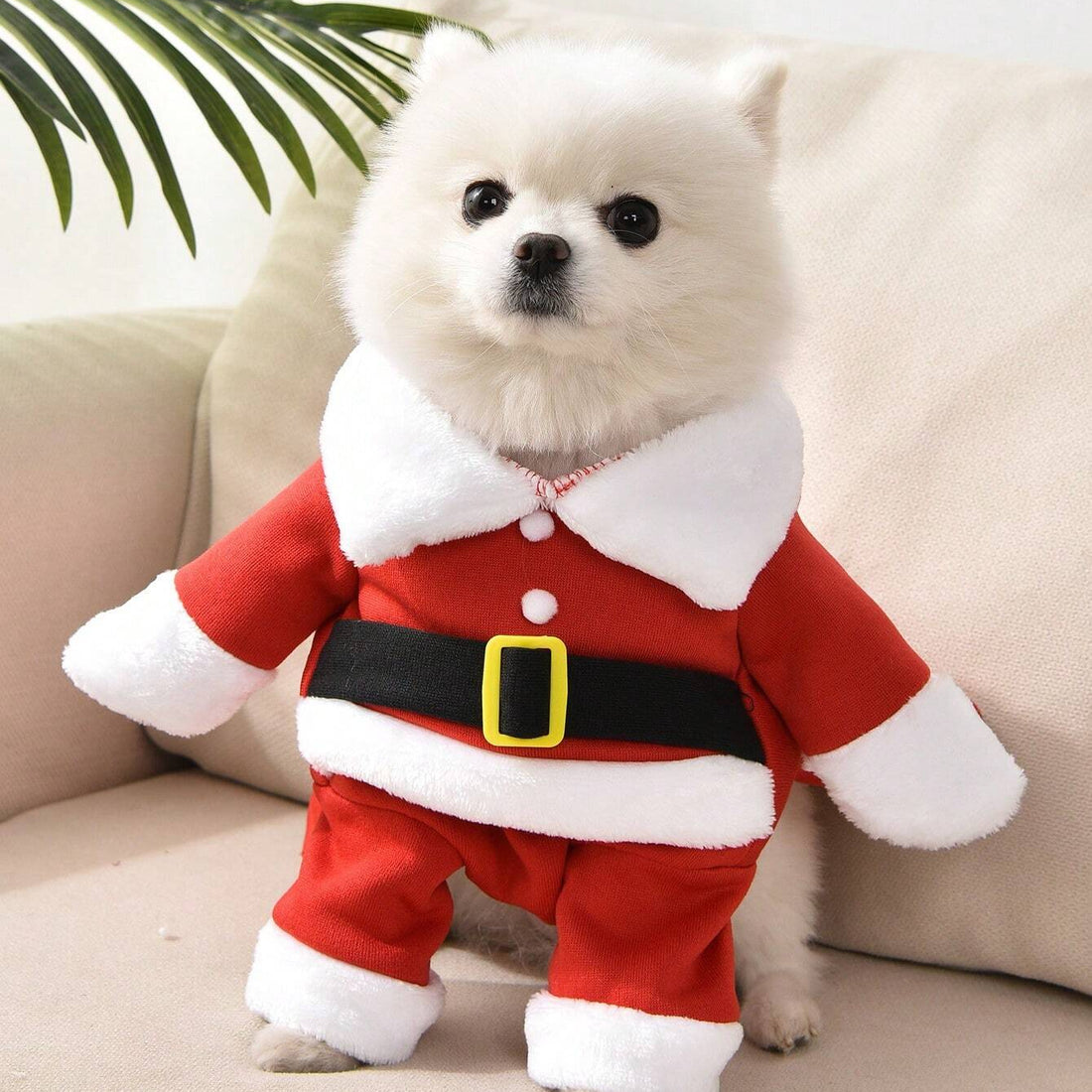 Costume Favorite Pet - Christmas Upright Outfit