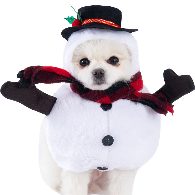 Costume Favorite Pet - White Beard Old Man