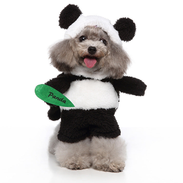 Halloween Costume - Fashion Dog Style