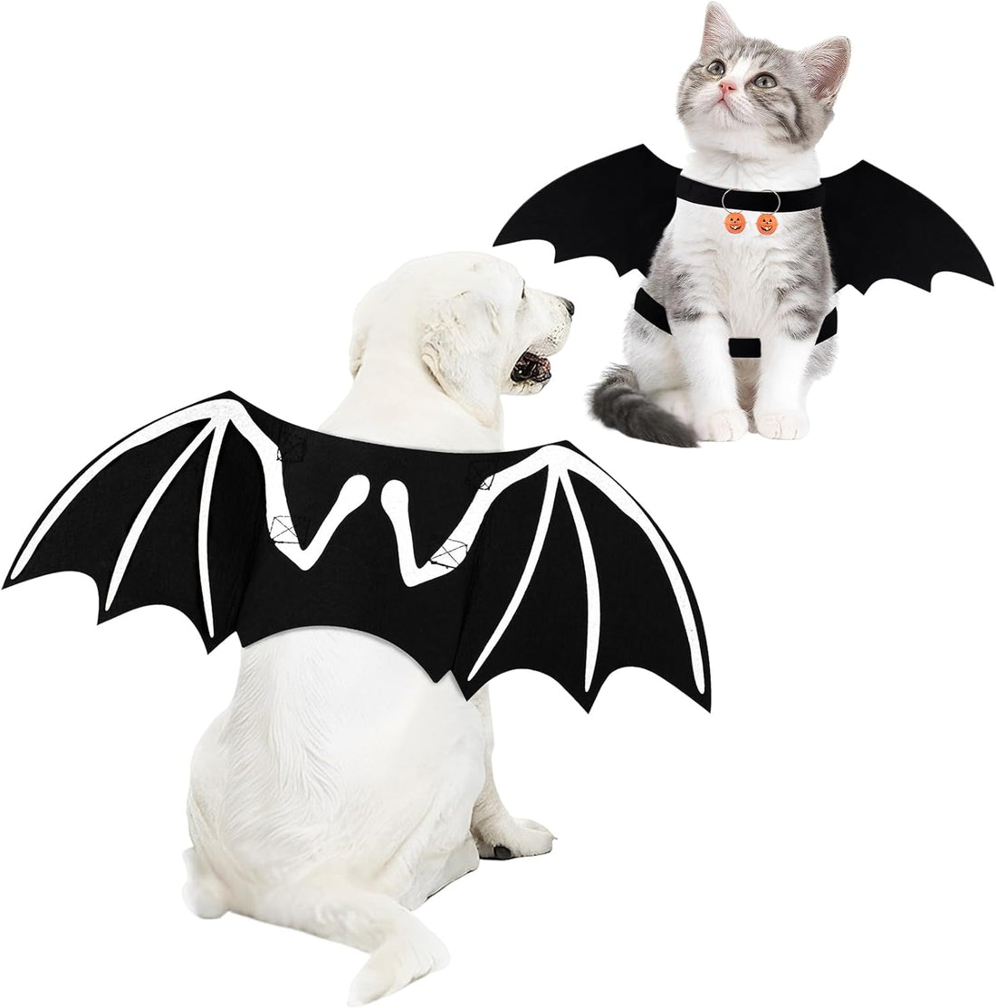 Costume Favorite Pet - Big Wings