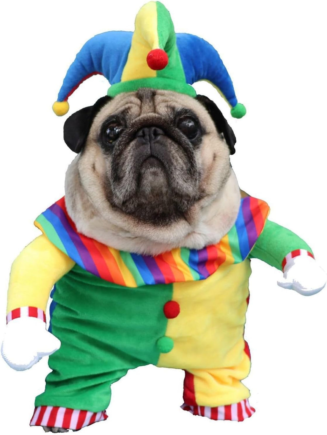 Costume Favorite Pet - Clown Pet