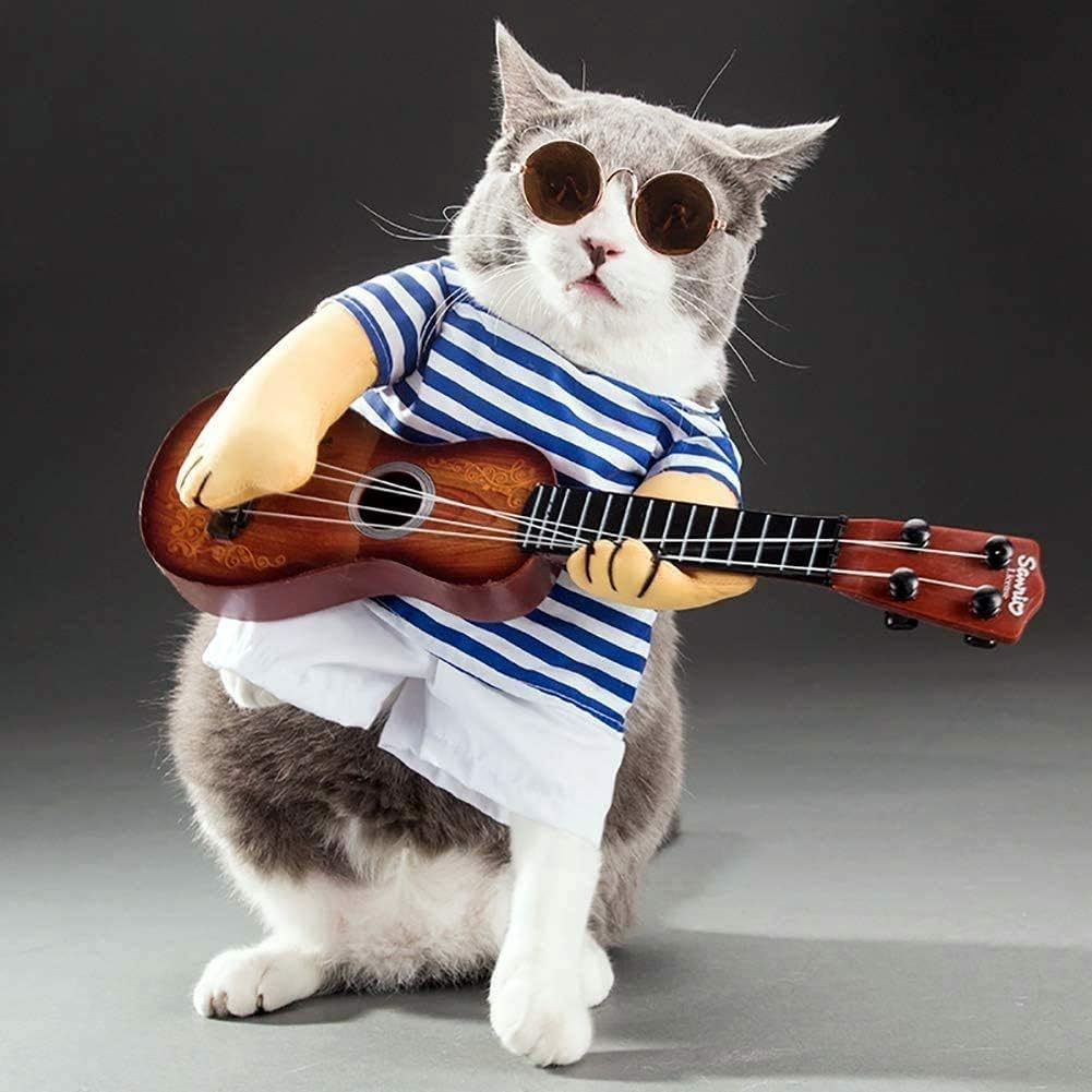 Pet Dog Guitarist Dress