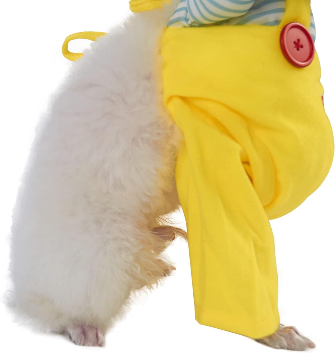 Costume Favorite Pet - Halloween Yellow Sword