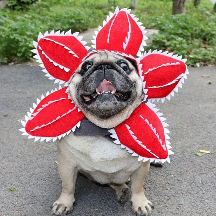Costume Favorite Pet - Cannibal Flower Head Cover