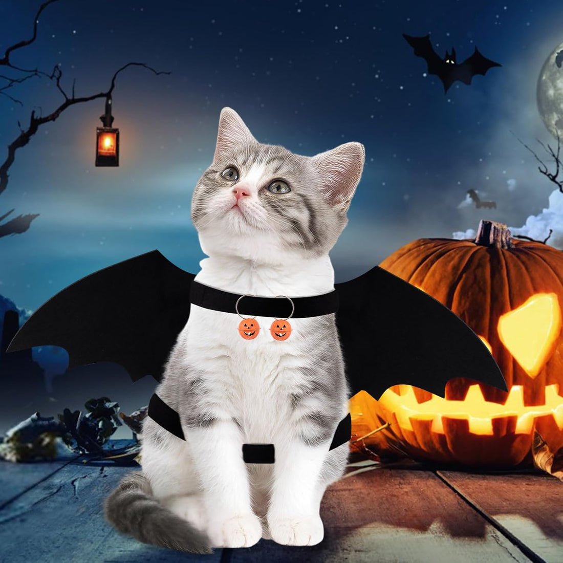 Costume Favorite Pet - Big Wings
