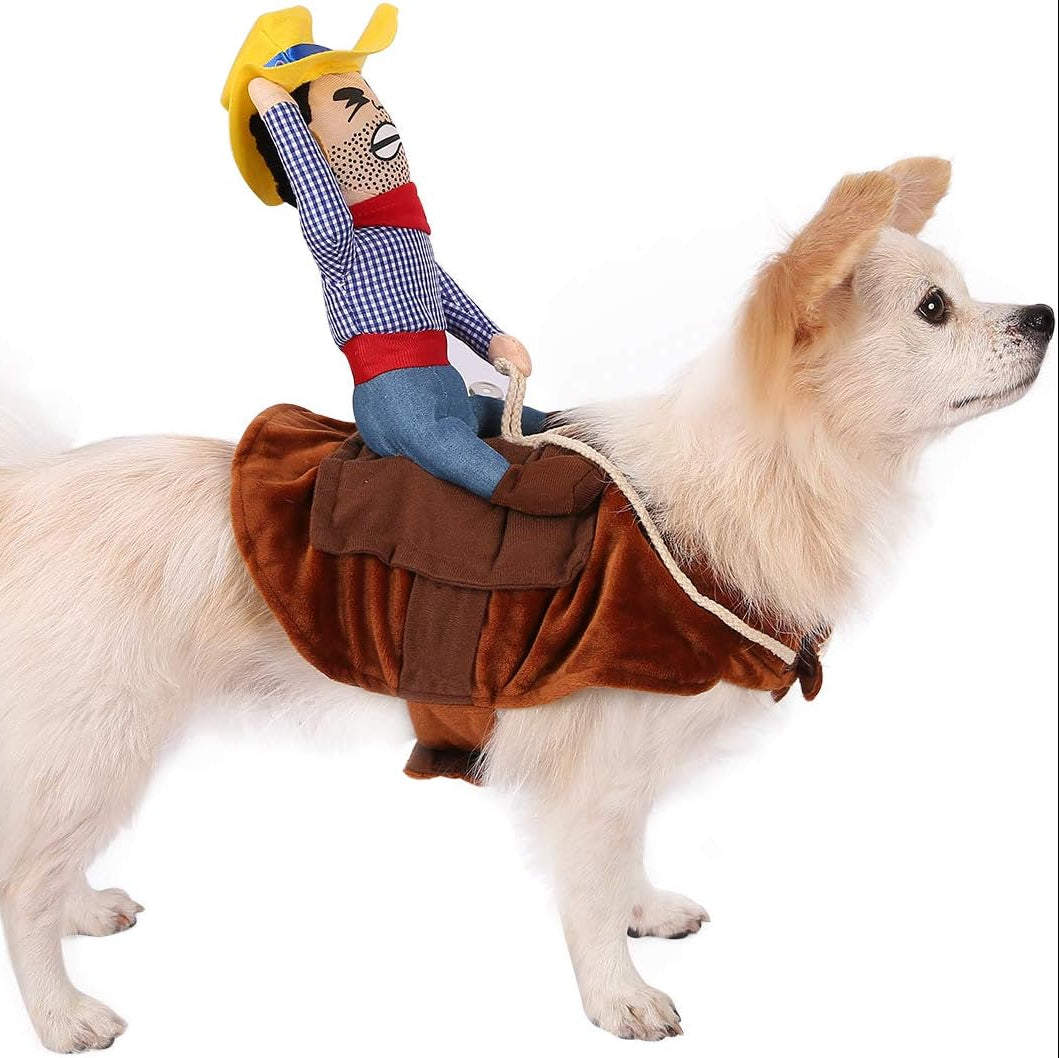 Costume Favorite Pet - Hat Knight