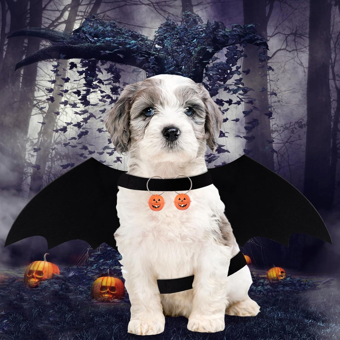 Costume Favorite Pet - Big Wings