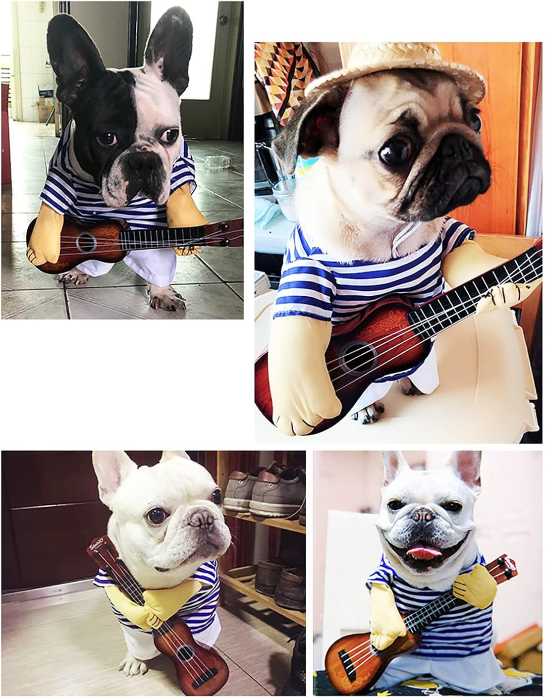 Pet Dog Guitarist Dress
