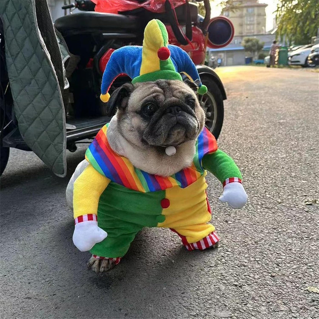 Costume Favorite Pet - Clown Pet