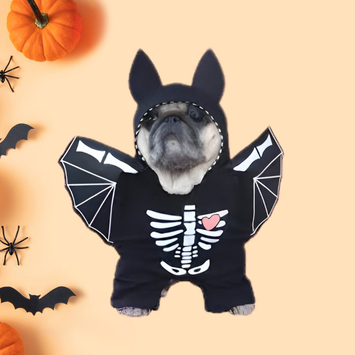 Costume Favorite Pet - Bat Suit