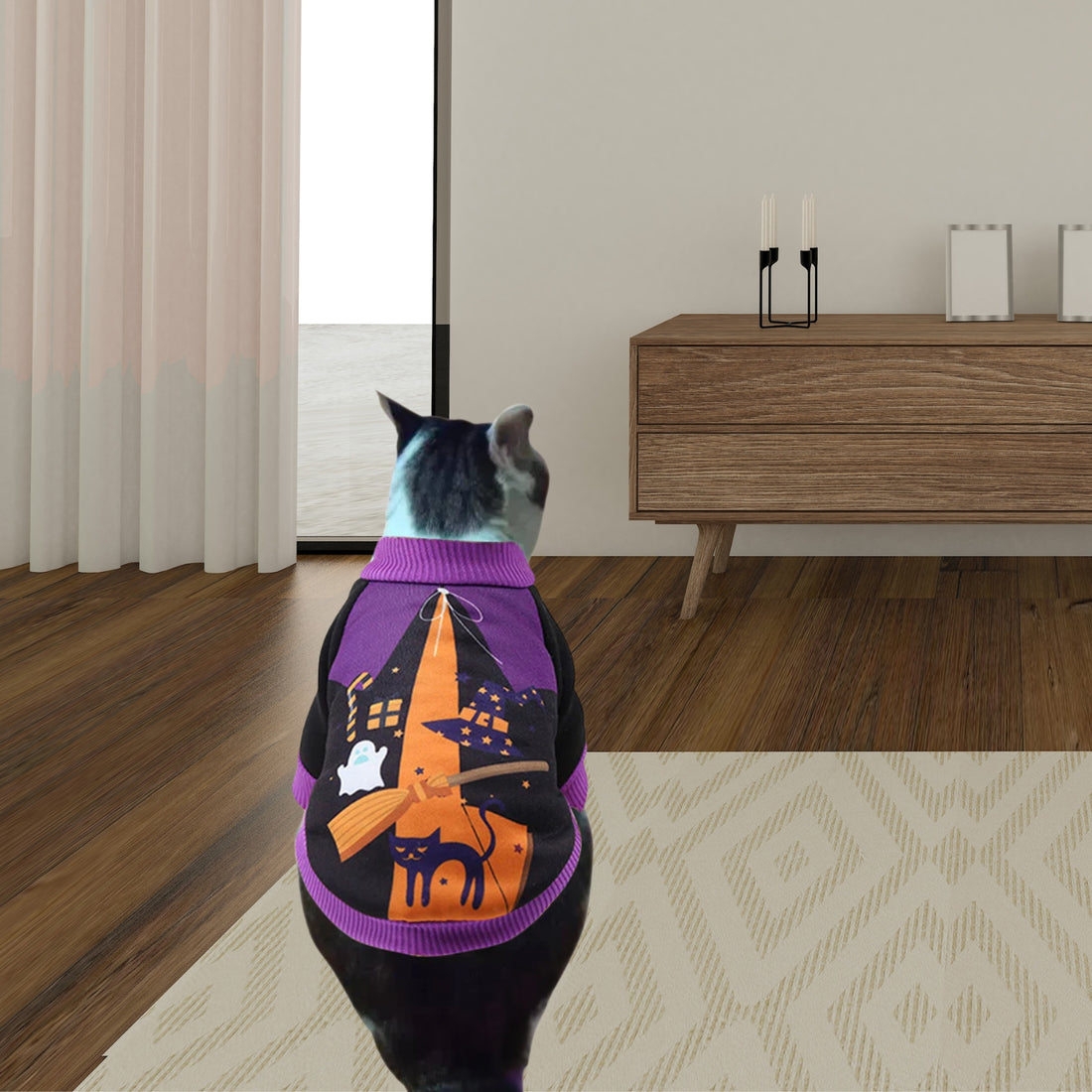 Happy Halloween Outfit - Pet