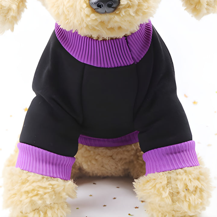 Happy Halloween Outfit - Pet