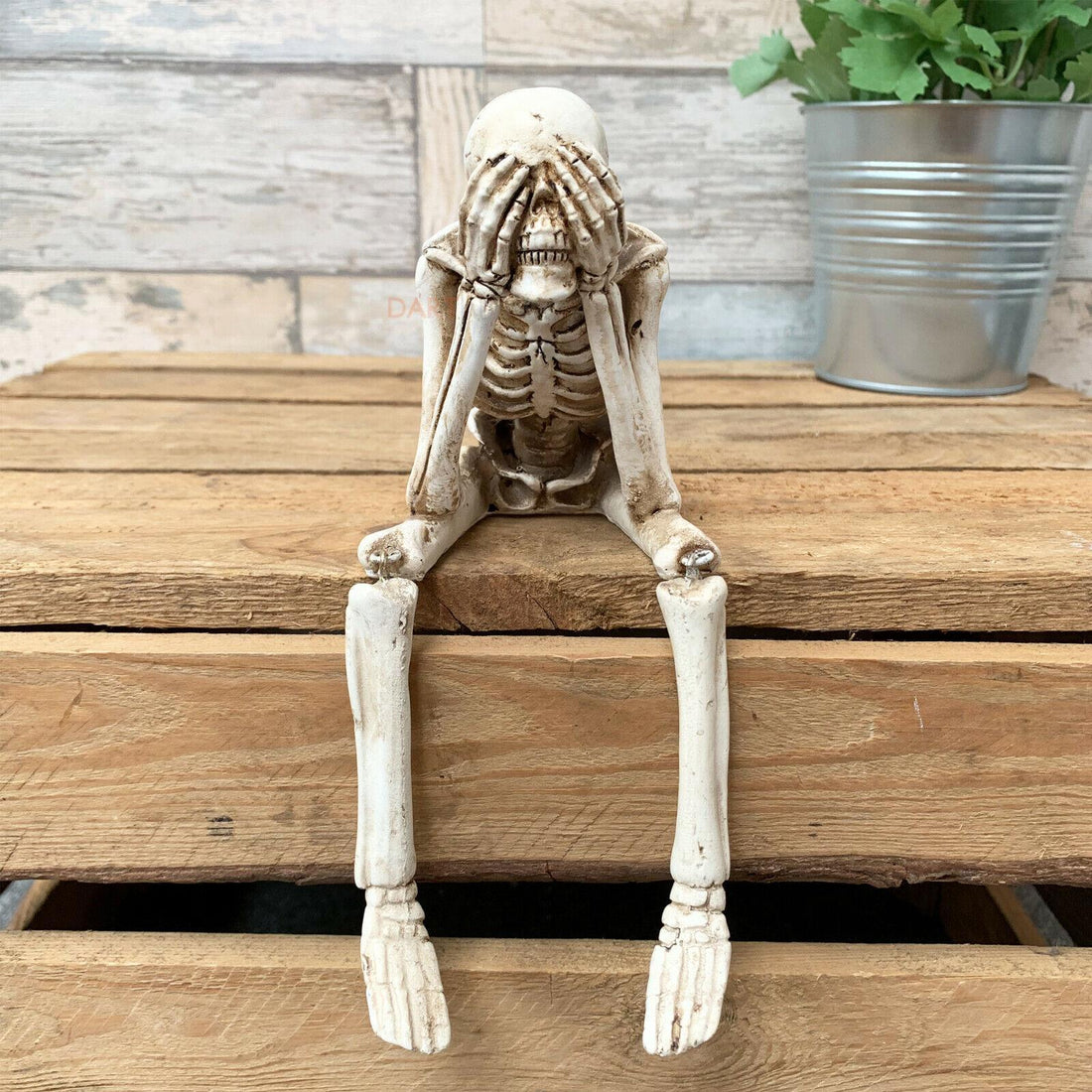 Halloween Decoration - Sitting Skull