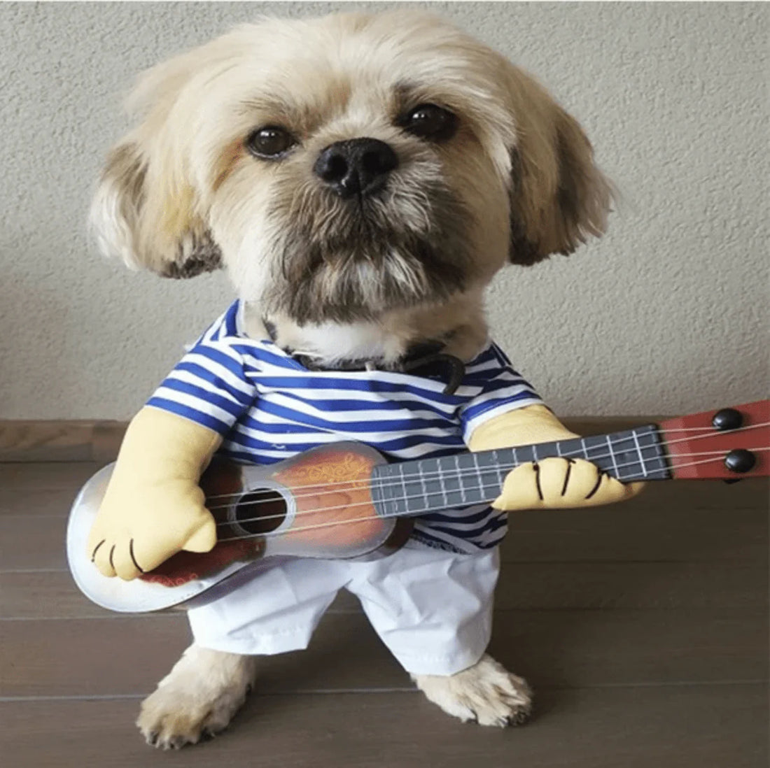 Costume Favorite Pet - Guitar