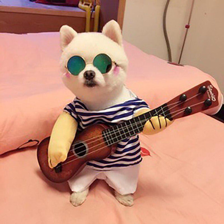 Costume Favorite Pet - Guitar