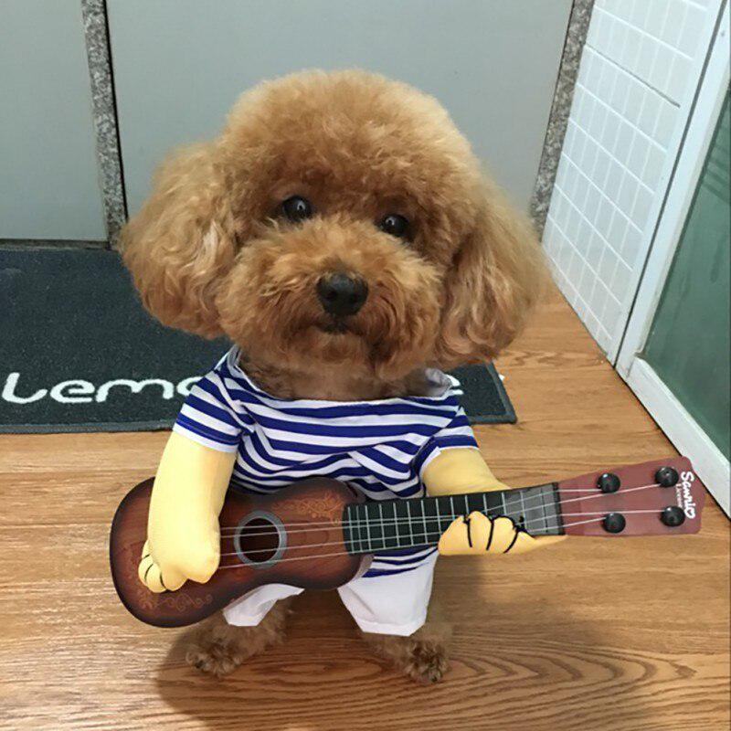 Costume Favorite Pet - Guitar