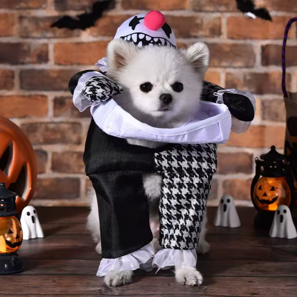 Costume Favorite Pet - Devil Costume