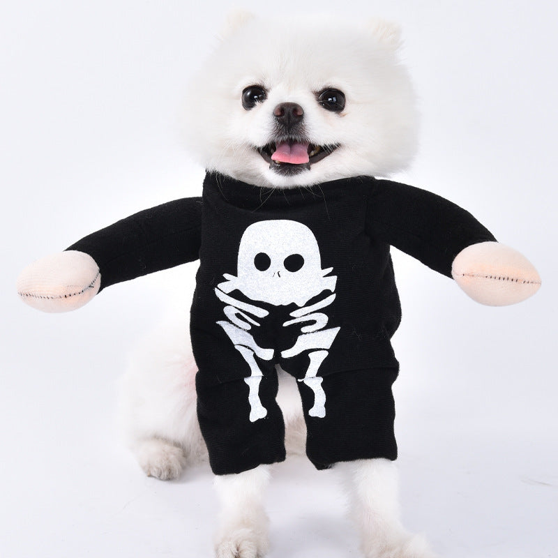 Costume Favorite Pet - White Beard Old Man