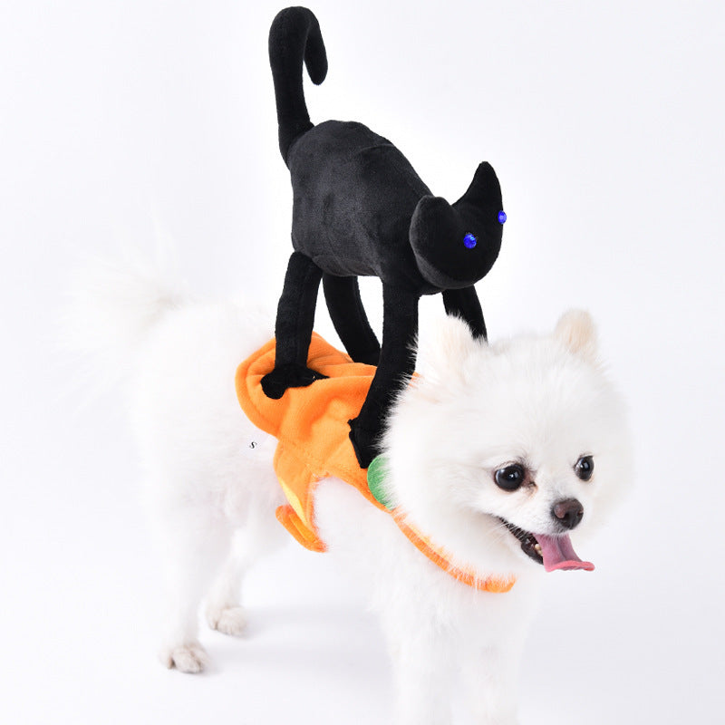 Costume Favorite Pet - White Beard Old Man