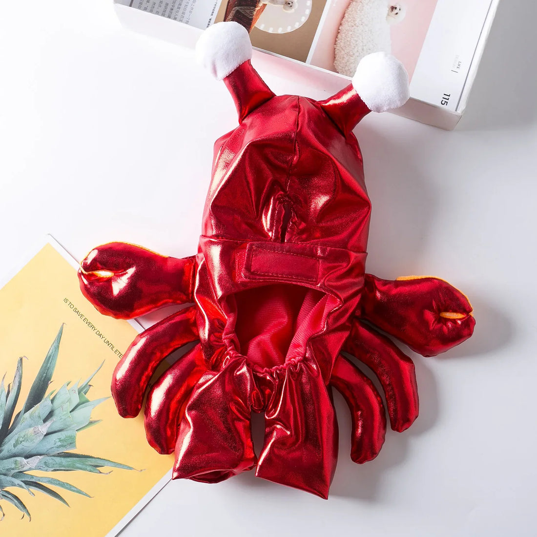 Costume Favorite Pet - Crab Pack