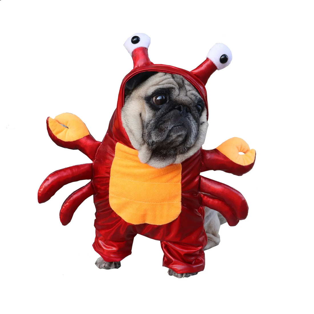 Costume Favorite Pet - Crab Pack